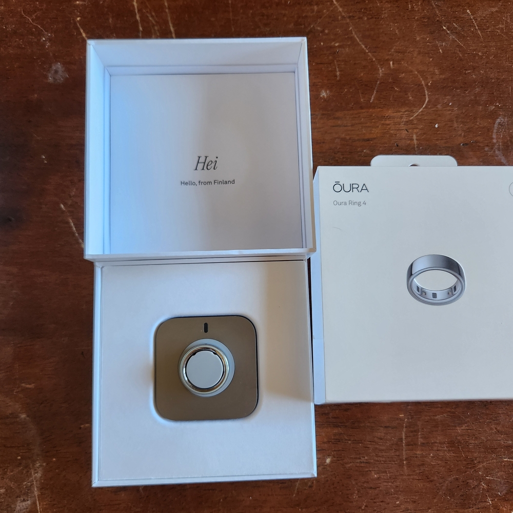 Oura Ring 4 in Silver